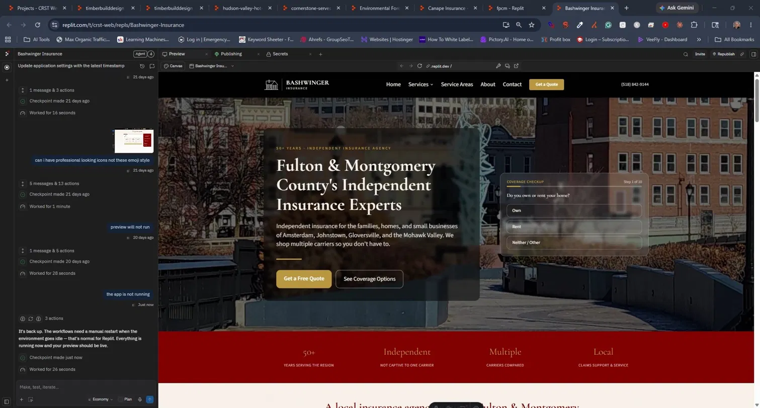 Bashwinger Insurance website screenshot